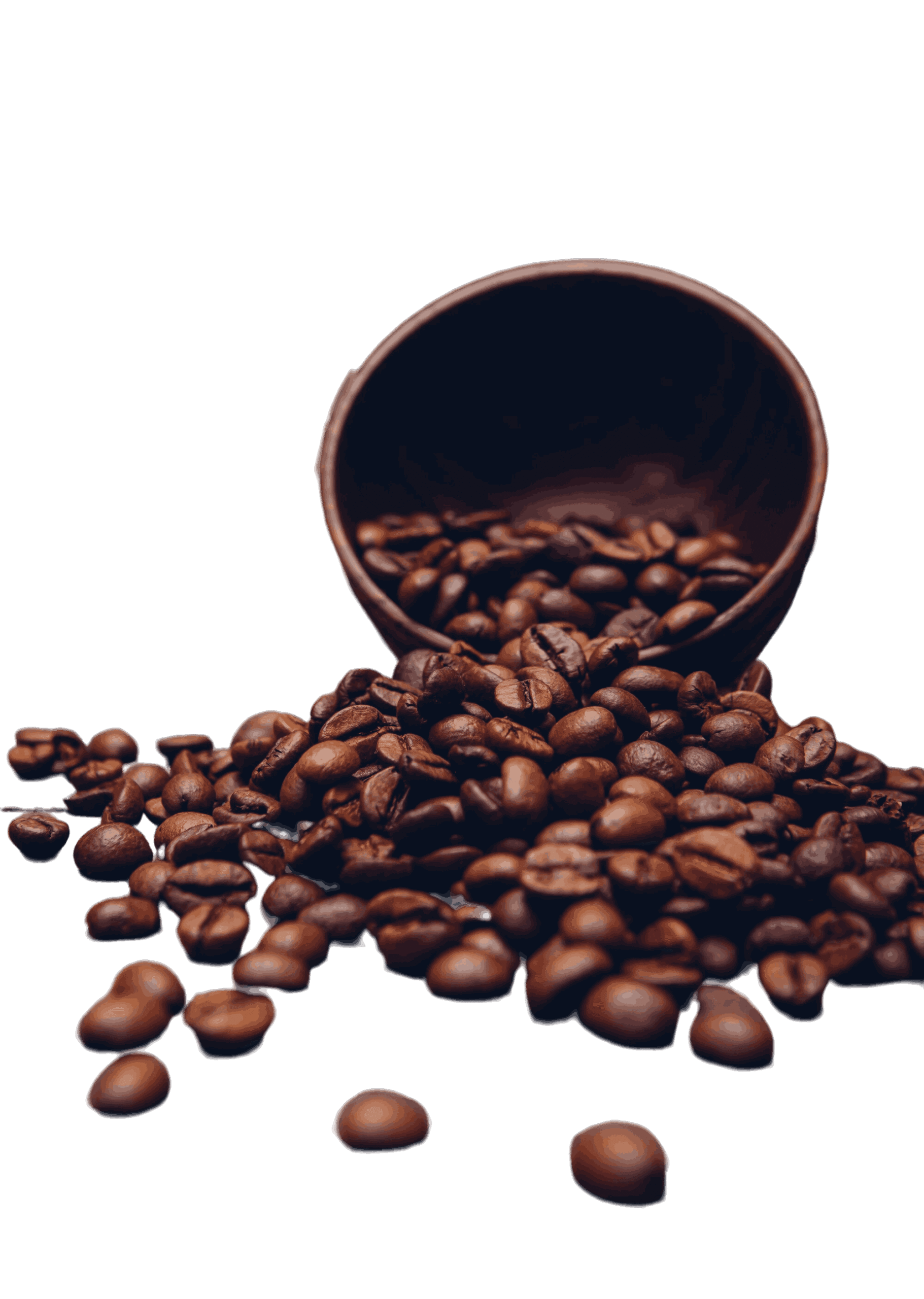 coffe-bean-scaled