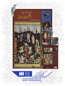 کتاب در صحبت مولانا